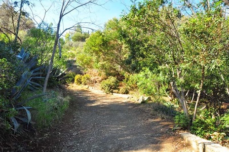 Enlarge photo 105