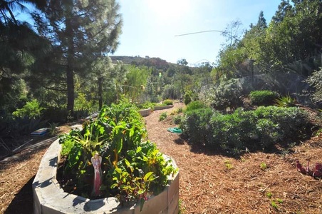 Enlarge photo 112