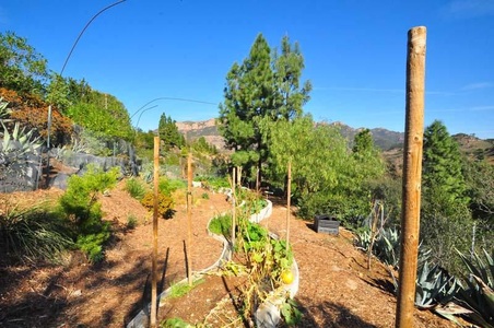 Enlarge photo 115
