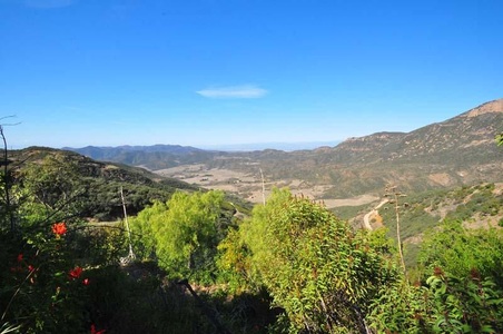 Enlarge photo 127