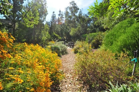 Enlarge photo 129