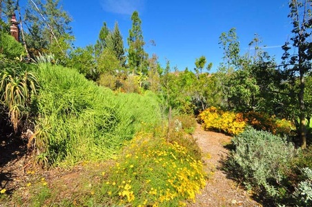 Enlarge photo 132