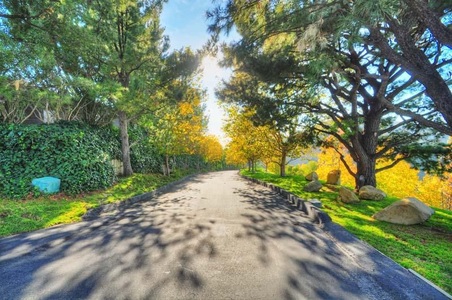 Enlarge photo 58