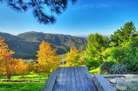 Enlarge photo 62