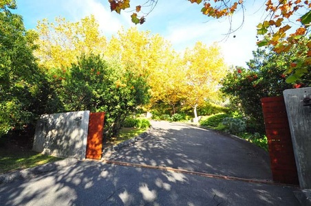 Enlarge photo 63
