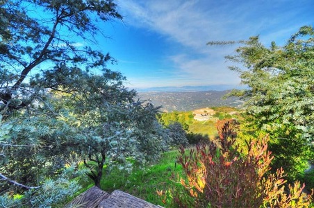 Enlarge photo 126