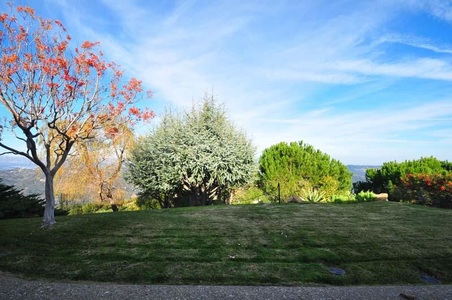 Enlarge photo 127