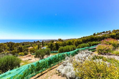Enlarge photo 84
