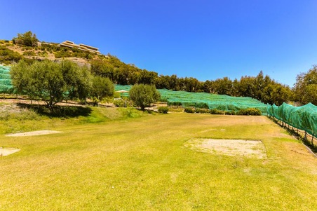 Enlarge photo 91