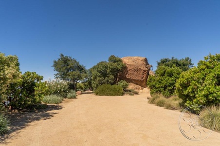 Enlarge photo 47