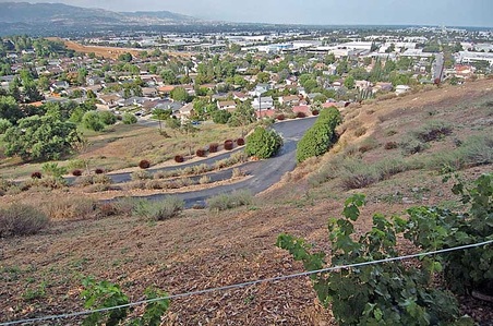 Enlarge photo 29
