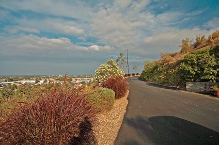 Enlarge photo 48