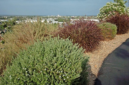 Enlarge photo 52