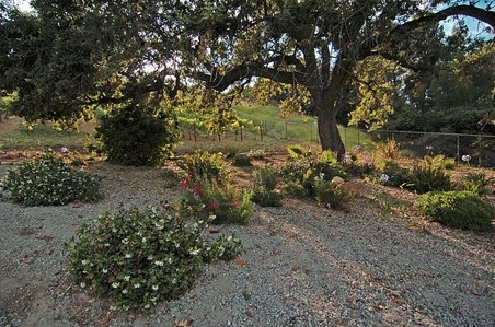 Enlarge photo 58