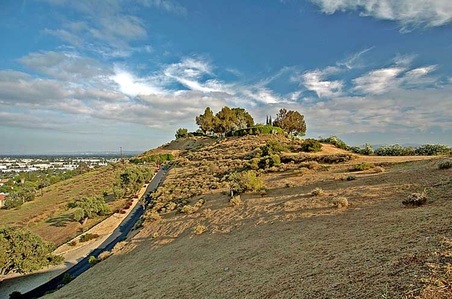 Enlarge photo 60