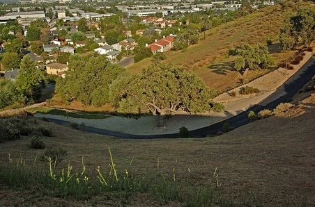 Enlarge photo 61
