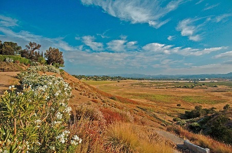 Enlarge photo 62