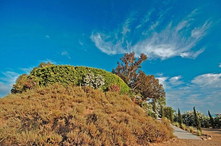 Enlarge photo 64