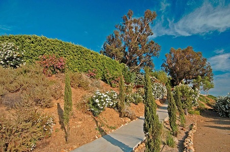 Enlarge photo 65