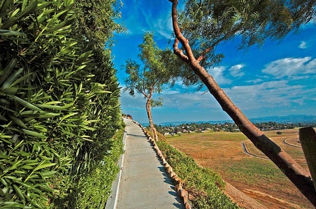 Enlarge photo 71