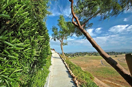Enlarge photo 73