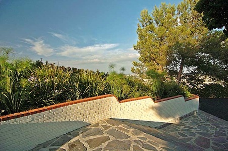 Enlarge photo 82