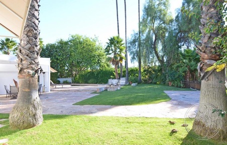 Enlarge photo 11