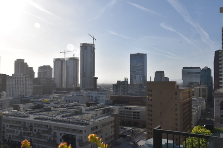 Enlarge photo 31