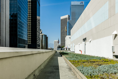 Enlarge photo 46