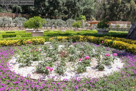 Enlarge photo 54