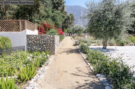 Enlarge photo 119