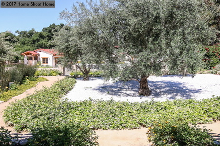 Enlarge photo 120