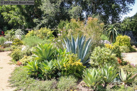 Enlarge photo 128