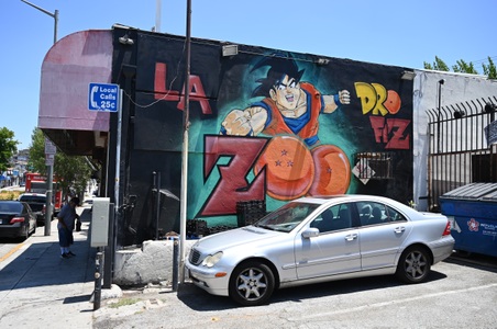 Enlarge photo 12