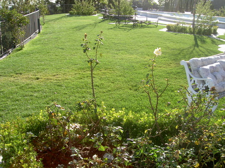 Enlarge photo 62