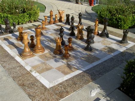 Enlarge photo 81