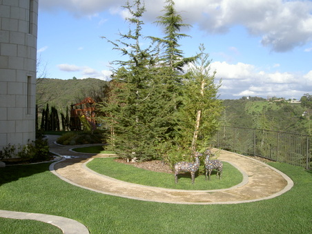 Enlarge photo 83
