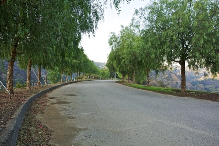 Enlarge photo 5