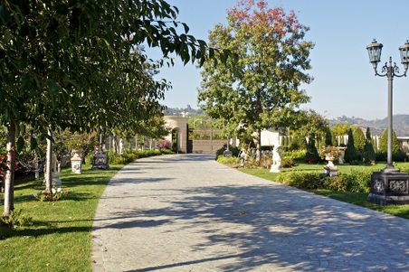 Enlarge photo 13