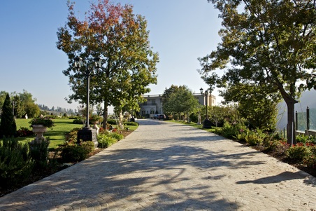 Enlarge photo 16