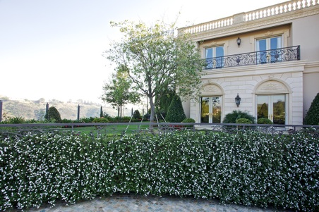 Enlarge photo 41