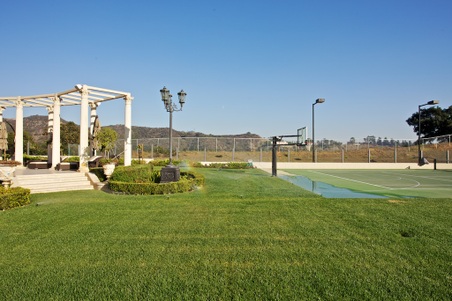 Enlarge photo 237
