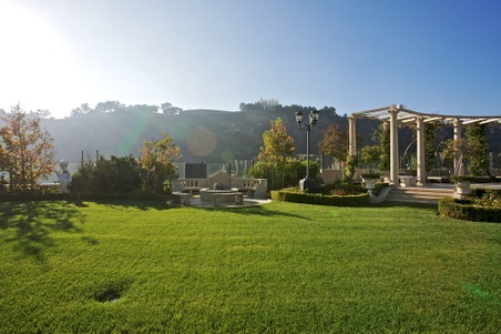 Enlarge photo 239