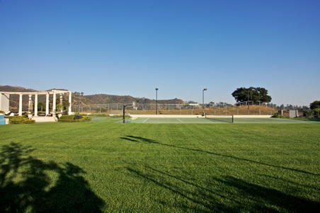 Enlarge photo 241