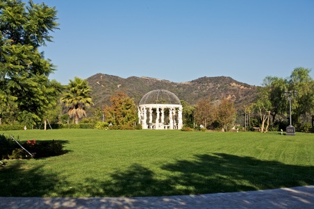 Enlarge photo 254