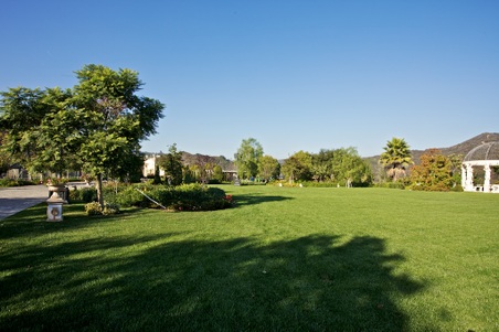 Enlarge photo 255