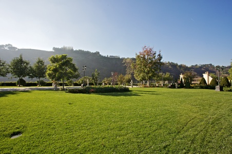 Enlarge photo 259
