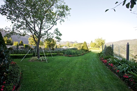 Enlarge photo 267