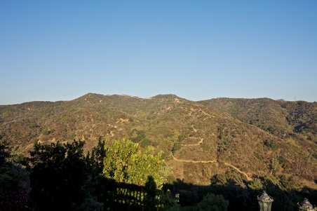 Enlarge photo 271