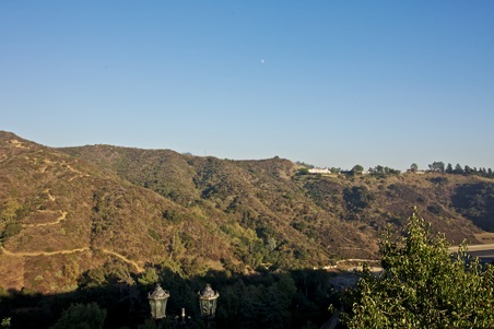 Enlarge photo 272